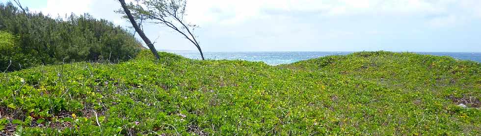 Sentier littoral de l'Etang du Gol  l'Etang-Sal les Bains - Patate  Durand