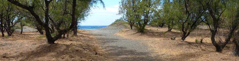 Sentier littoral de l'Etang du Gol  l'Etang-Sal les Bains - Fort domaniale de la Cte sous le Vent