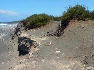 Sentier littoral de l'Etang-Sal - Falaises de sables gris -