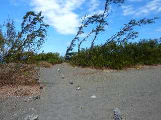 Sentier littoral de l'Etang-Sal