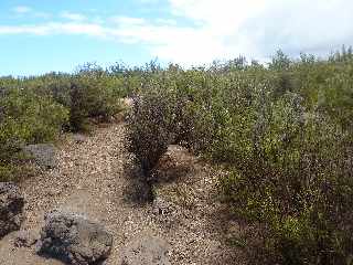 Sentier littoral d'Etang-Sal - Coules basaltiques -