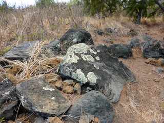 Etang-Sal - Sentier littoral - Entre les blocs volcaniques