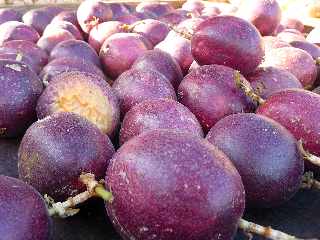 March forain de Saint-Pierre - janvier 2012 - Fruits de la passion