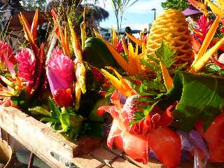 March forain de Saint-Pierre - janvier 2012 - Fleurs