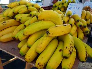 March forain de Saint-Pierre - janvier 2012 - Bananes