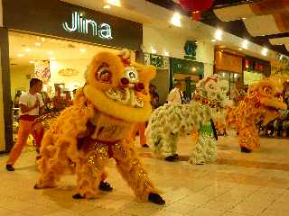 Nouvel an chinois 2012  l'Hyper U de la Balance - St-Pierre - Association Hong de dragon et lion