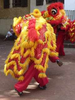 28/01/12 - Mdiathque de St-Pierre - Danse du Lion -