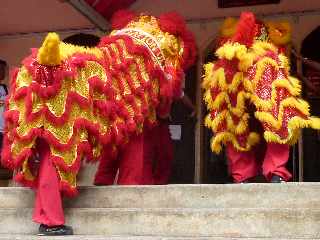 28/01/12 - Mdiathque de St-Pierre - Danse du Lion -