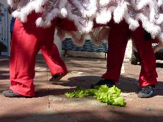 28/01/12 - Mdiathque de St-Pierre - Danse du Lion - Salade