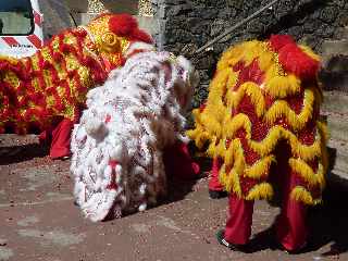 28/01/12 - Mdiathque de St-Pierre - Danse du Lion -