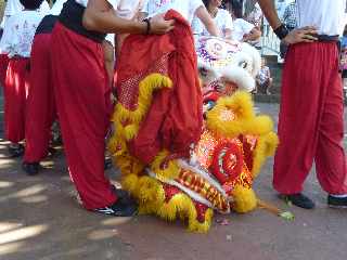 28/01/12 - Mdiathque de St-Pierre - Danse du Lion -