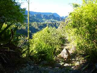 Cilaos - Sentier du Bras de Benjoin vers Bras Sec