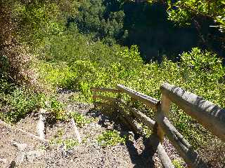 Cilaos - Bras de Benjoin -Sentier vers Bras Sec -