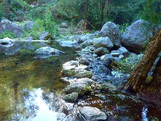 Sentier Cilaos-Bras Sec dans le Bras de Benjoin -