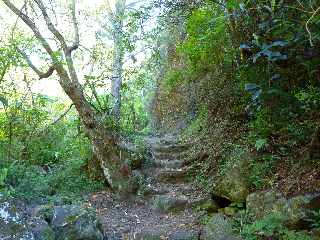 Sentier Cilaos-Bras Sec - Remontée dans le Bras de Benjoin -