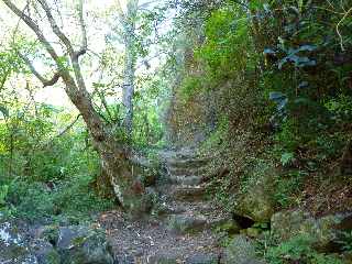 Sentier Cilaos-Bras Sec - Remonte dans le Bras de Benjoin -