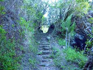 Sentier Cilaos-Bras Sec - Remonte du Bras de Benjoin -