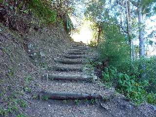 Sentier Cilaos-Bras Sec - Remonte dans le Bras de Benjoin - Dernires marches