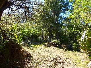 Sentier Cilaos-Bras Sec - Remonte du Bras de Benjoin -  Aire de pique-nique