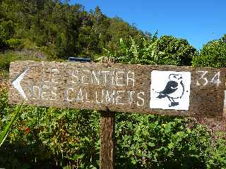 Cilaos - Bonnet de Prtre  -Sentier des Calumets