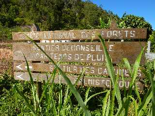 Cilaos - Bonnet de Prtre  - Vers Palmiste Rouge