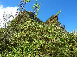 Cilaos - Bonnet de Prtre  - Face nord-est