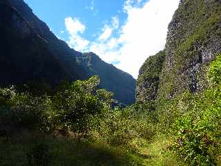 Cilaos - Bonnet de Prtre - Sentier des Calumets