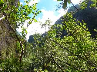 Cilaos - Sentier des Calumets