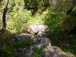 Cilaos - Sentier des Calumets -  Traverse de la Ravine des Calumets