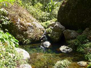 Cilaos - Sentier des Calumets  -  Grand Piton -Cascade