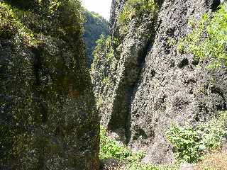 Cilaos - Sentier des Calumets  -  Grand Piton