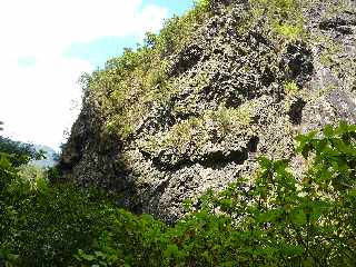 Cilaos - Sentier des Calumets  -  Grand Piton