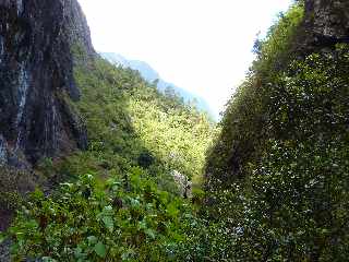 Cilaos - Sentier des Calumets  -  Entre rempart et Grand Piton