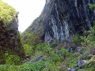 Cilaos - Sentier des Calumets  -  Falaise au droit du Grand Piton