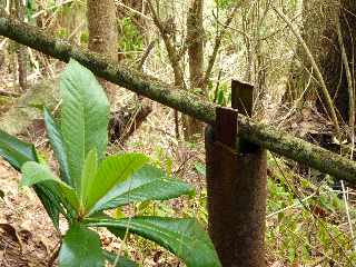 Cilaos - Sentier des Calumets  -  Canalisation vers Palmiste Rouge