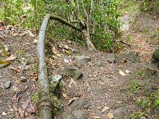 Cilaos - Sentier des Calumets  -  Canalisation vers Palmiste Rouge