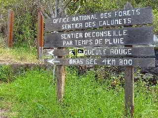 Cilaos - Sentier des Calumets  - arrive  Palmiste Rouge