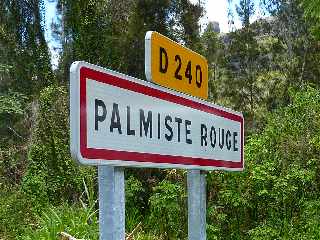 Palmiste Rouge -