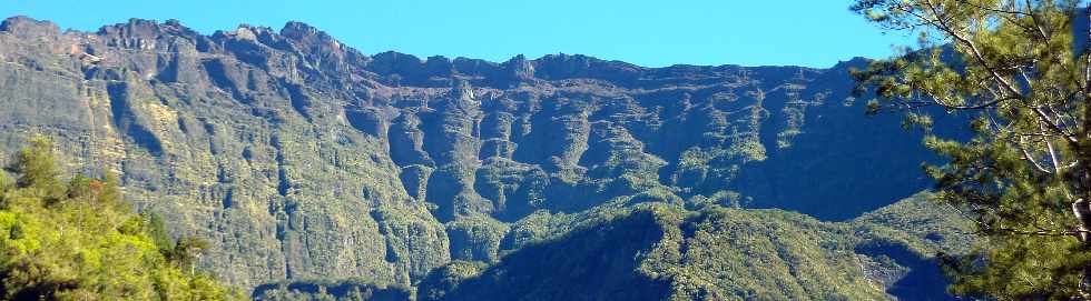 Sentier Cilaos-Bras Sec - Remonte dans le Bras de Benjoin -  Massif du Piton des Neiges