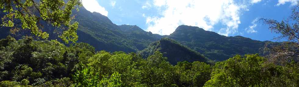 Cilaos - Sentier des Calumets -  Grand Piton