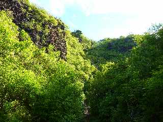 St-Leu - Ravine de la Fontaine