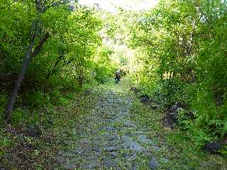 St-Leu - Sentier Pav -  Partie basse