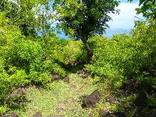 St-Leu -  Sentier de la Salette -