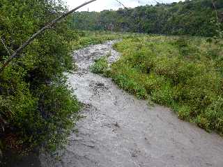 29 fvrier 2012 - Fortes pluies - Bras de la Plaine en crue