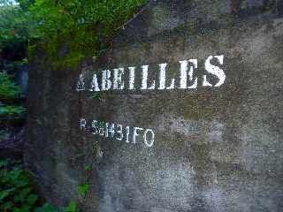 Pont d'Yves - Sentier vers le Bras de la Plaine - Abeilles