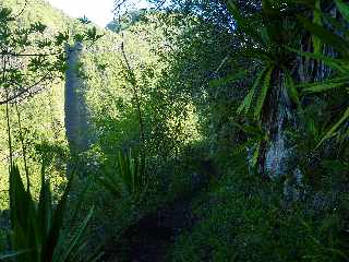 Pont d'Yves - Sentier vers le Bras de la Plaine -