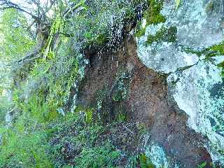 Pont d'Yves - Sentier vers le Bras de la Plaine - Zone d'boulis