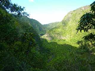 Pont d'Yves - Sentier vers le Bras de la Plaine - Vers l'aval