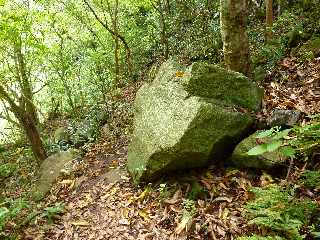 Pont d'Yves - Sentier vers le Bras de la Plaine -