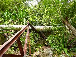 Pont d'Yves - Sentier vers le Bras de la Plaine - Canalisation vers le Bras de Pontho